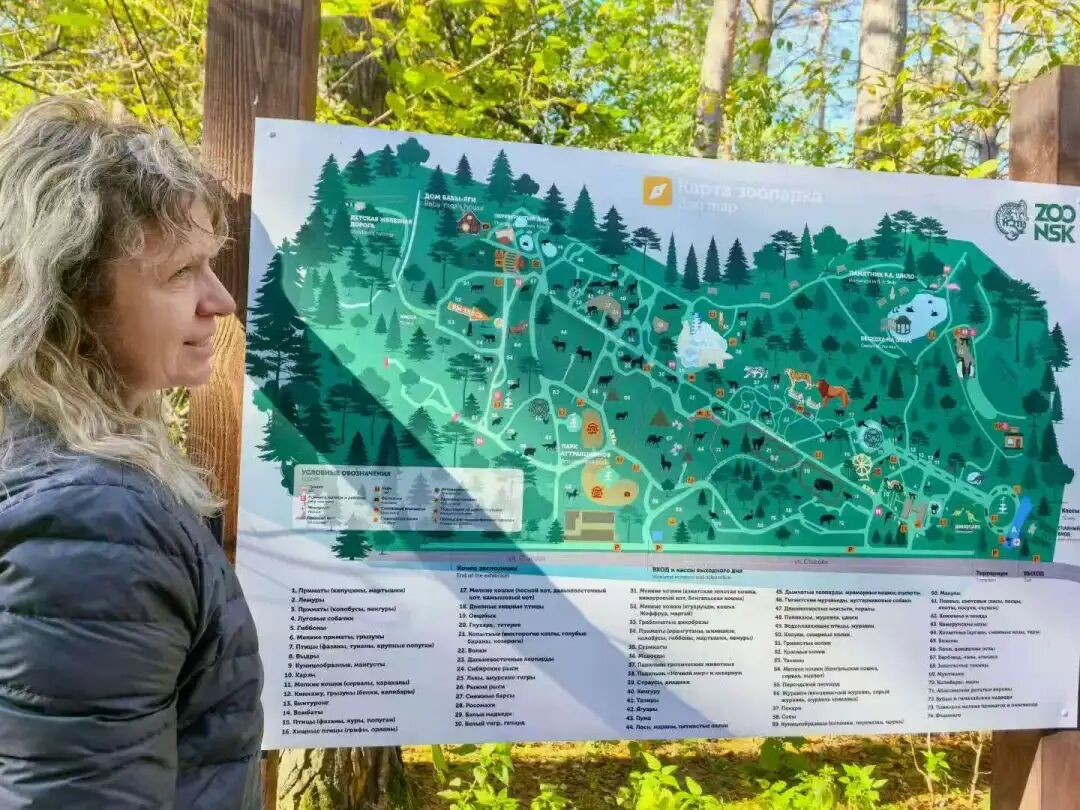 97����-����Ʒ��,Դ������