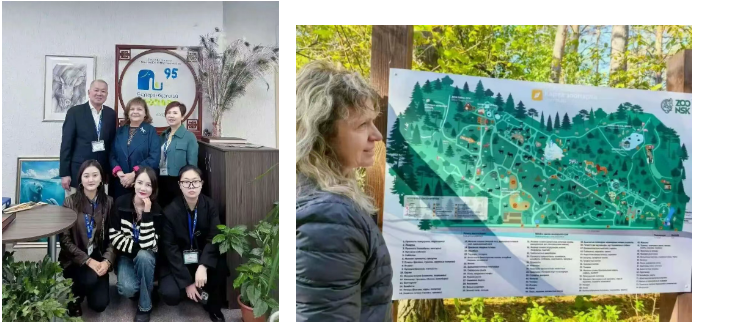 97����-����Ʒ��,Դ������