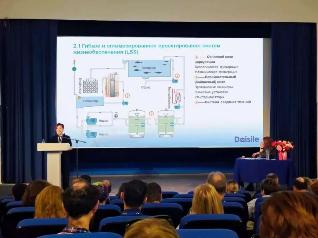 97����-����Ʒ��,Դ������